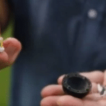 Microchipped cricket ball