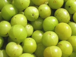 amla fruit benefits