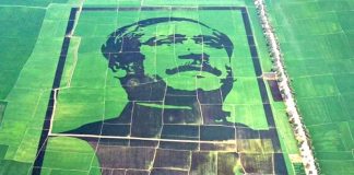 Crop field mosaic honouring Bangabandhu
